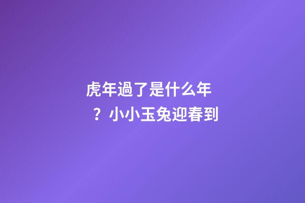虎年過了是什么年？小小玉兔迎春到